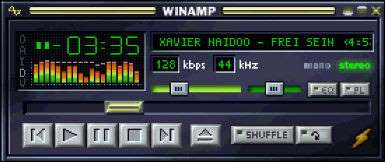 WinAMP 2.91c deutsch - free download